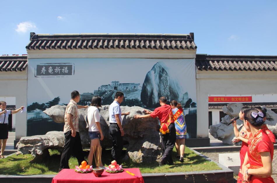 摸寿龟